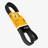 CORREIA POLY V 1905MM - 6PK1905 CONTITECH