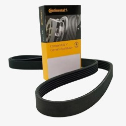 CORREIA POLY V 1905MM - 6PK1905 CONTITECH